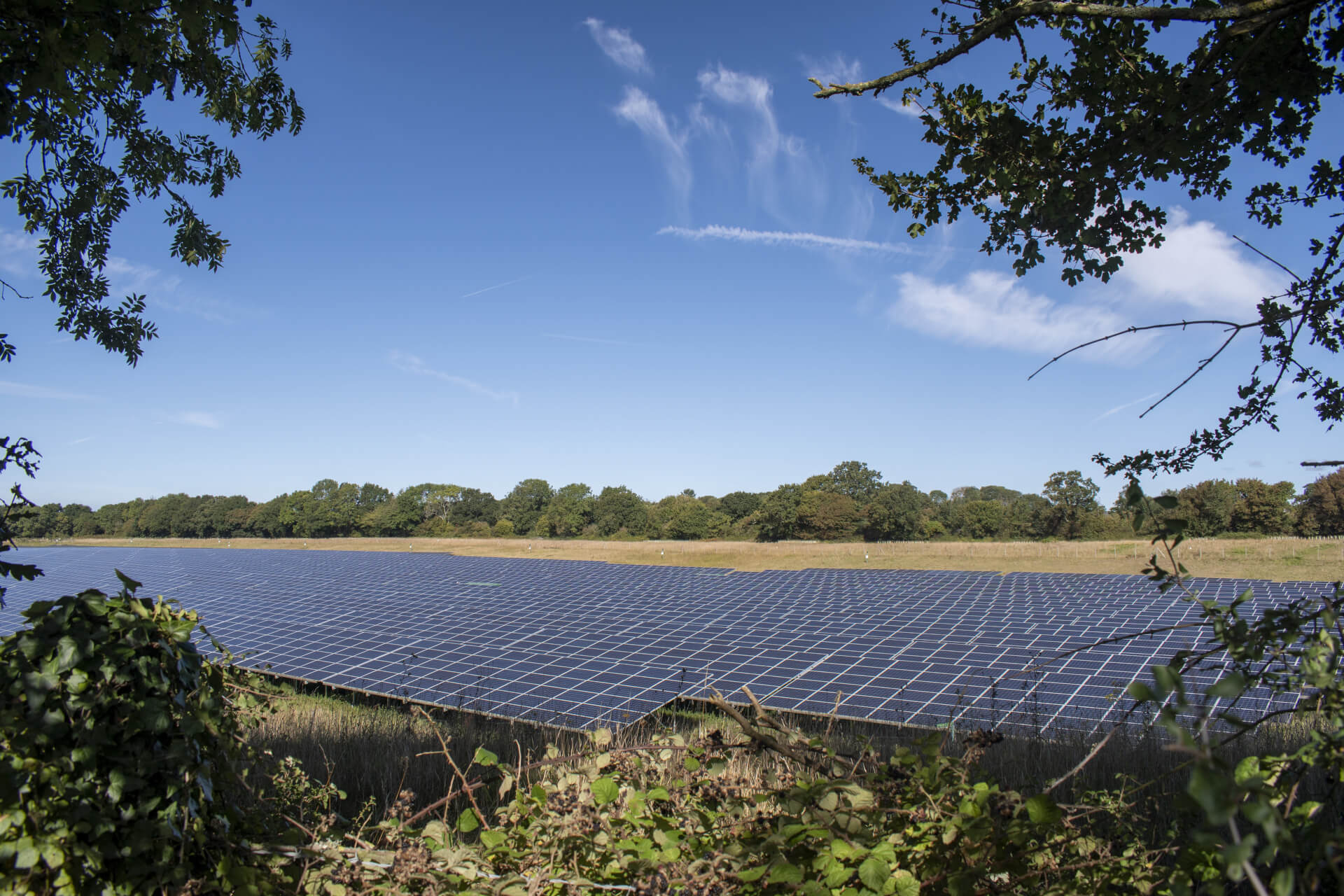 BOOM POWER WIN APPEAL FOR SOLAR SCHEME IN ESSEX