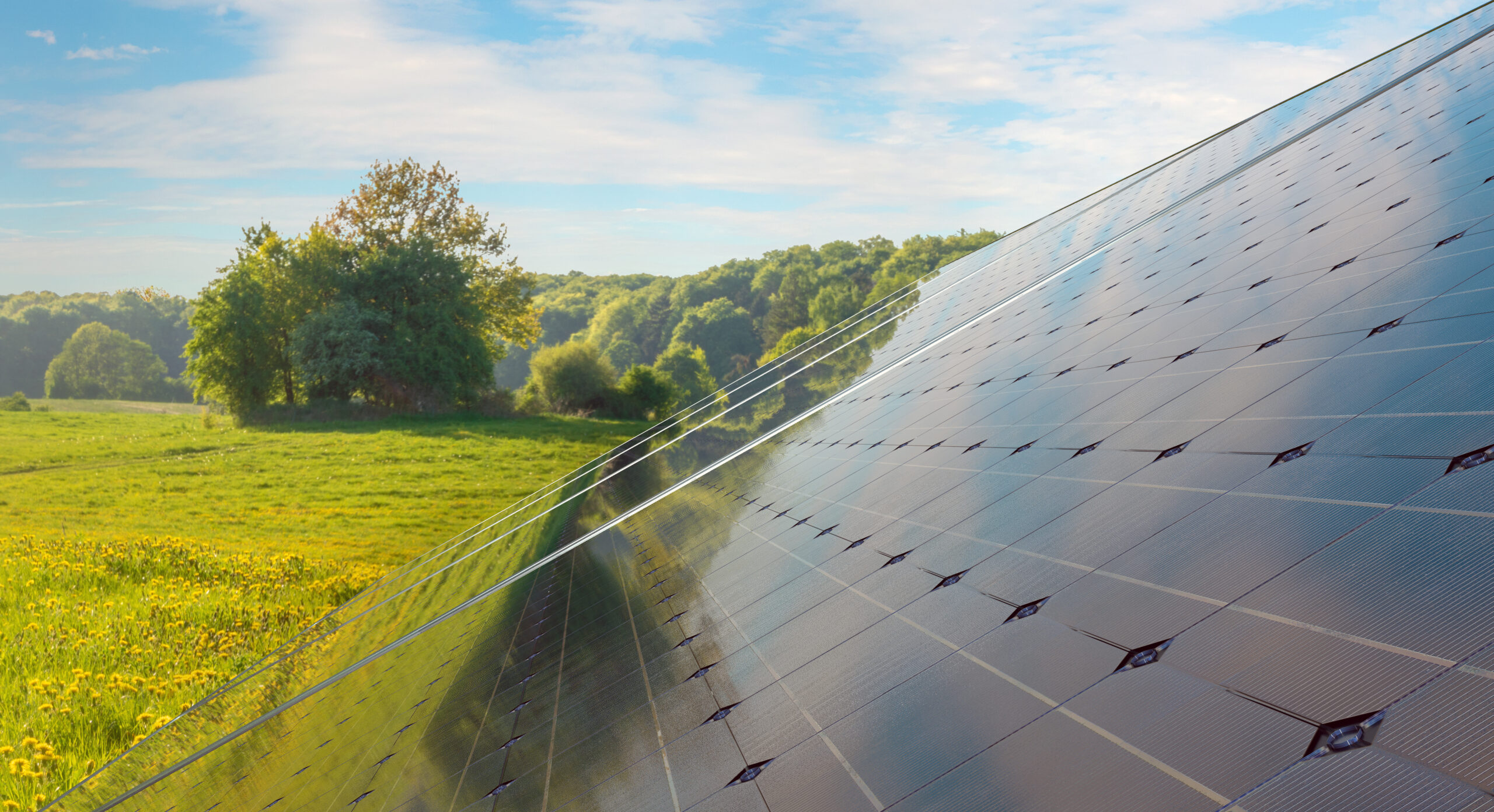 Fenwick Solar Farm Secures Planning Approval, Powering a Greener Future for Doncaster and Beyond.